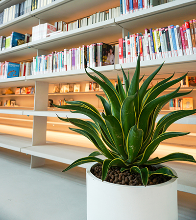 ��ҳ- ABGŷ�����Ź�����¼���