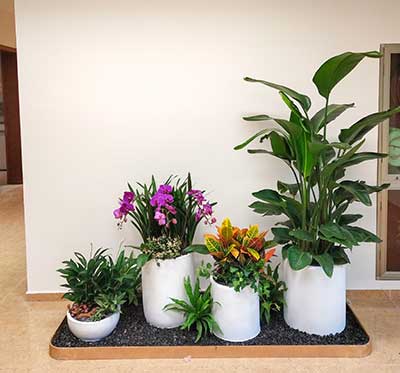 ��ҳ- ABGŷ�����Ź�����¼���