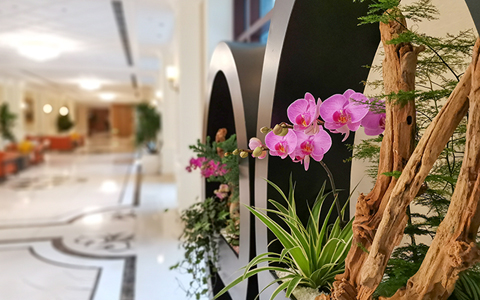 ��ҳ- ABGŷ�����Ź�����¼���