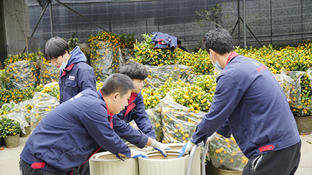 ��ҳ- ABGŷ�����Ź�����¼���