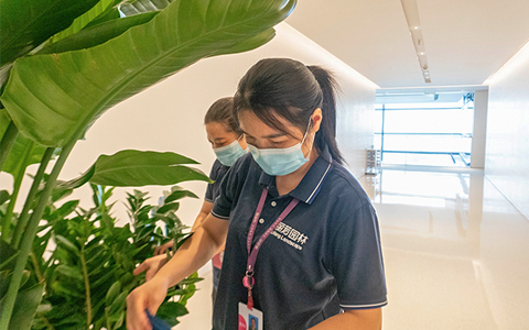 ��ҳ- ABGŷ�����Ź�����¼���