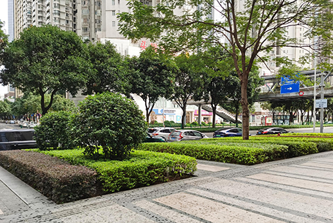 ��ҳ- ABGŷ�����Ź�����¼���