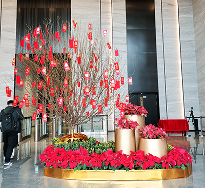 ��ҳ- ABGŷ�����Ź�����¼���