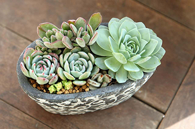 ��ҳ- ABGŷ�����Ź�����¼���