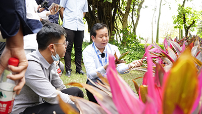 ��ҳ- ABGŷ�����Ź�����¼���