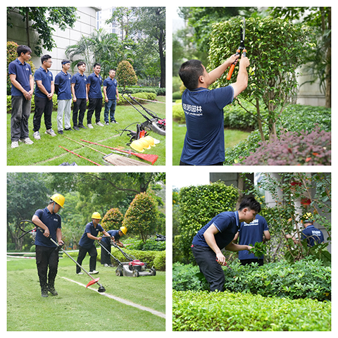 ��ҳ- ABGŷ�����Ź�����¼���