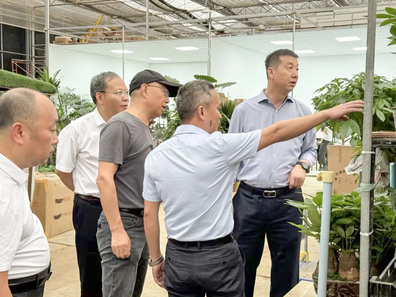 ��ҳ- ABGŷ�����Ź�����¼���