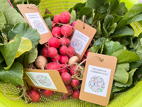 ��ҳ- ABGŷ�����Ź�����¼���