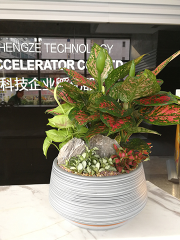 ��ҳ- ABGŷ�����Ź�����¼���