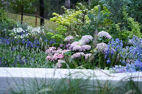 ��ҳ- ABGŷ�����Ź�����¼���