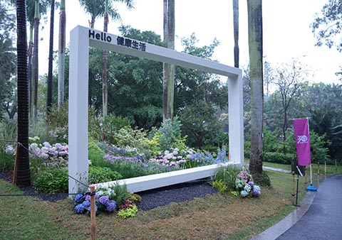 ��ҳ- ABGŷ�����Ź�����¼���