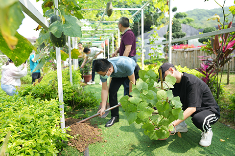 ��ҳ- ABGŷ�����Ź�����¼���