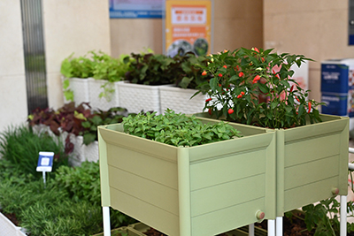 ��ҳ- ABGŷ�����Ź�����¼���