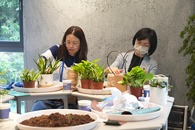 ��ҳ- ABGŷ�����Ź�����¼���