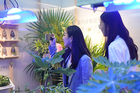 ��ҳ- ABGŷ�����Ź�����¼���