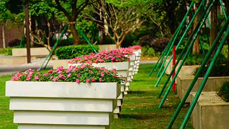 ��ҳ- ABGŷ�����Ź�����¼���