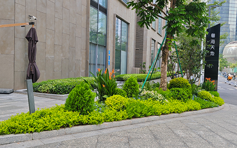 ��ҳ- ABGŷ�����Ź�����¼���