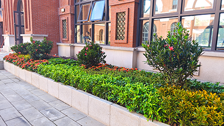 ��ҳ- ABGŷ�����Ź�����¼���