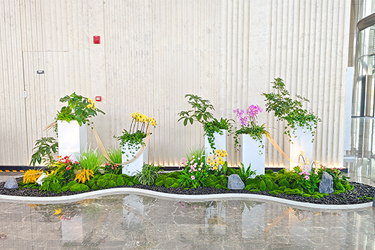 ��ҳ- ABGŷ�����Ź�����¼���