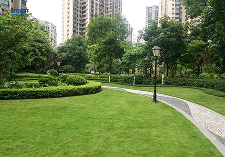 ��ҳ- ABGŷ�����Ź�����¼���