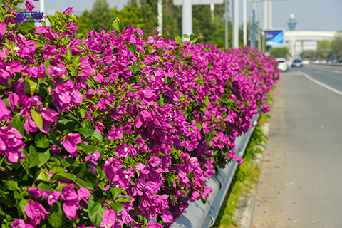 ��ҳ- ABGŷ�����Ź�����¼���