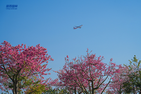 ��ҳ- ABGŷ�����Ź�����¼���