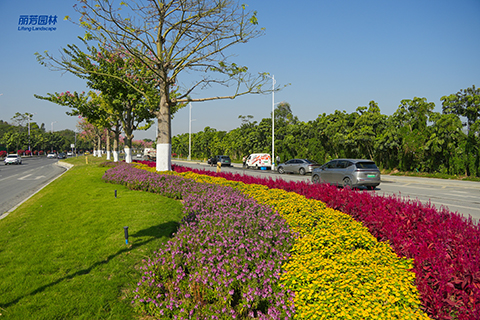 ��ҳ- ABGŷ�����Ź�����¼���