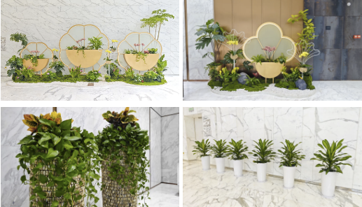 ��ҳ- ABGŷ�����Ź�����¼���