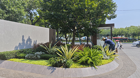 ��ҳ- ABGŷ�����Ź�����¼���