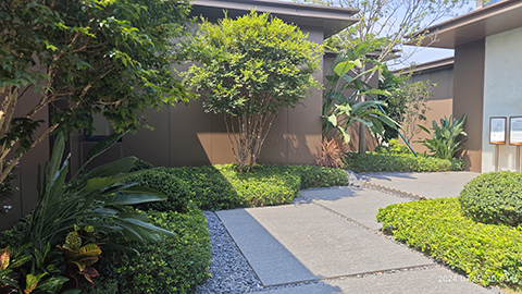 ��ҳ- ABGŷ�����Ź�����¼���