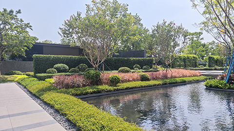 ��ҳ- ABGŷ�����Ź�����¼���