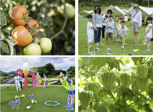 ��ҳ- ABGŷ�����Ź�����¼���