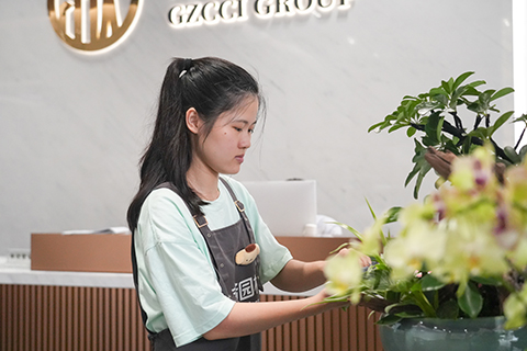 ��ҳ- ABGŷ�����Ź�����¼���