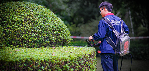 ��ҳ- ABGŷ�����Ź�����¼���