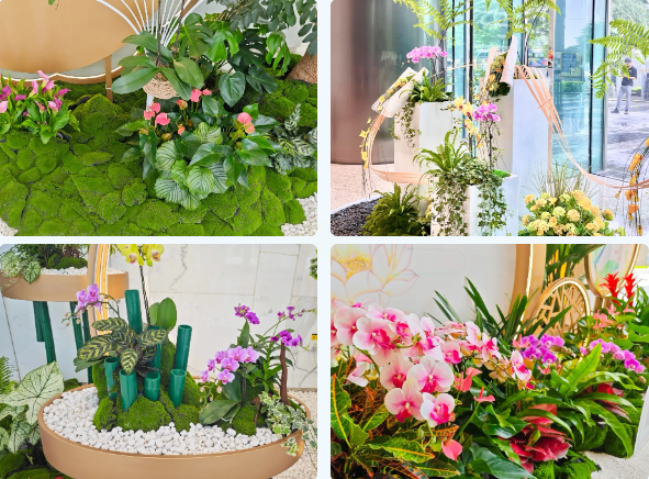 ��ҳ- ABGŷ�����Ź�����¼���