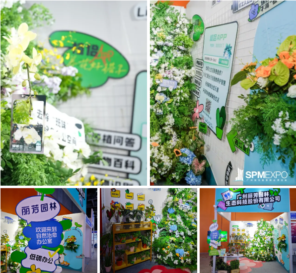 ��ҳ- ABGŷ�����Ź�����¼���