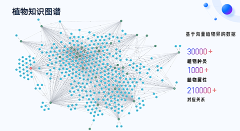 ��ҳ- ABGŷ�����Ź�����¼���