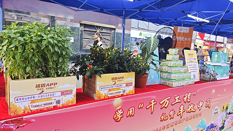 ��ҳ- ABGŷ�����Ź�����¼���