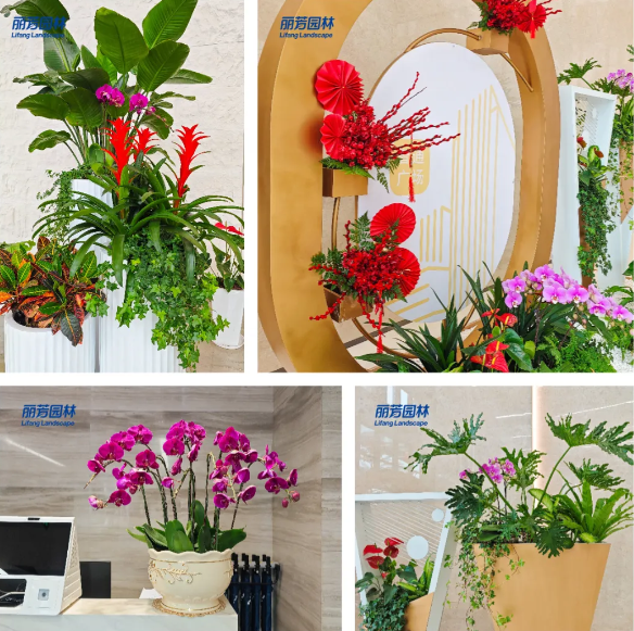 ��ҳ- ABGŷ�����Ź�����¼���