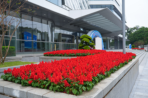 ��ҳ- ABGŷ�����Ź�����¼���