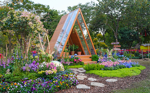 ��ҳ- ABGŷ�����Ź�����¼���