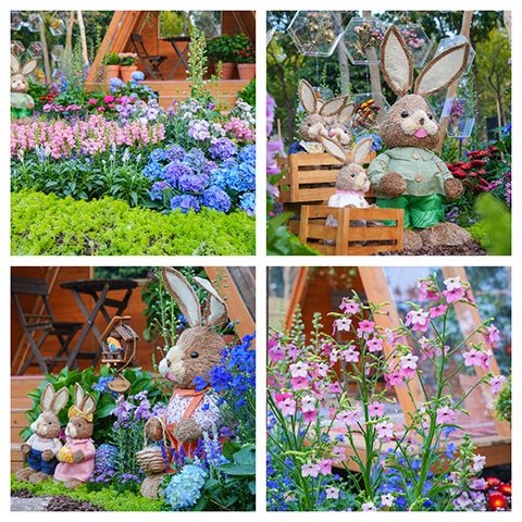 ��ҳ- ABGŷ�����Ź�����¼���