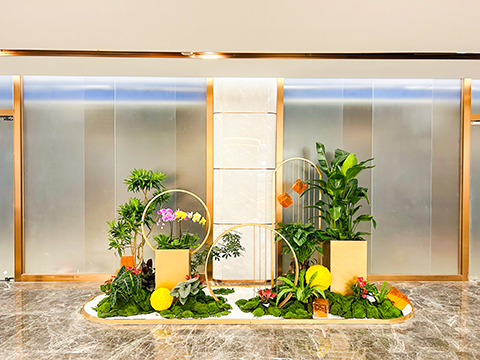 ��ҳ- ABGŷ�����Ź�����¼���