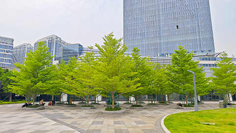 ��ҳ- ABGŷ�����Ź�����¼���