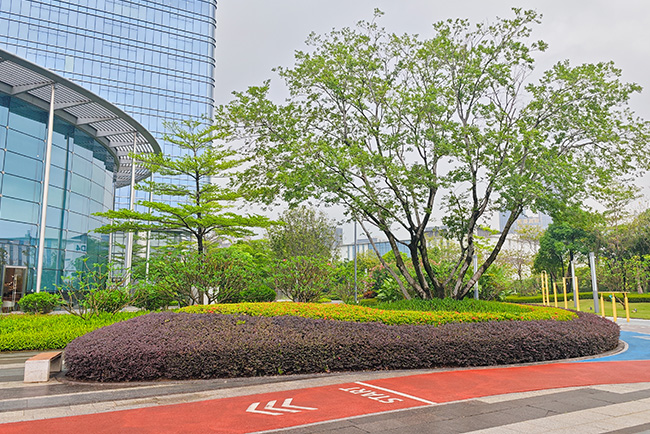 ��ҳ- ABGŷ�����Ź�����¼���