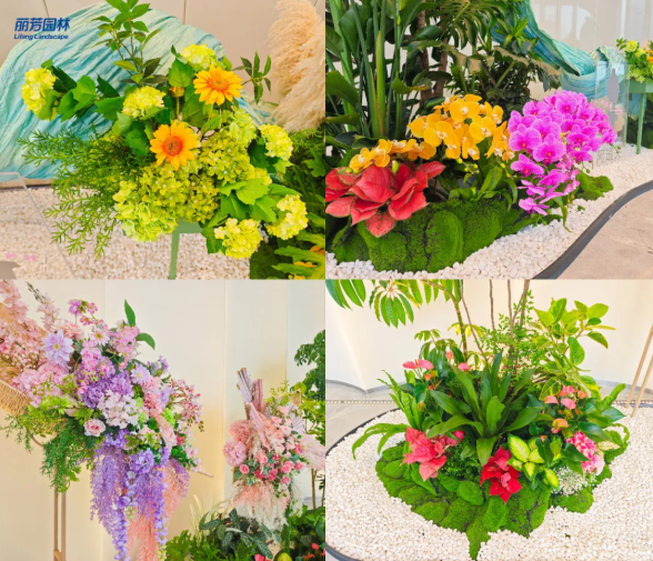 ��ҳ- ABGŷ�����Ź�����¼���