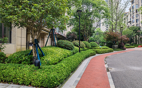 ��ҳ- ABGŷ�����Ź�����¼���