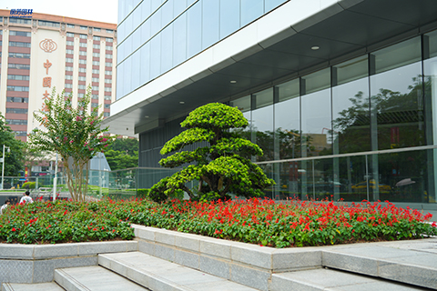 ��ҳ- ABGŷ�����Ź�����¼���