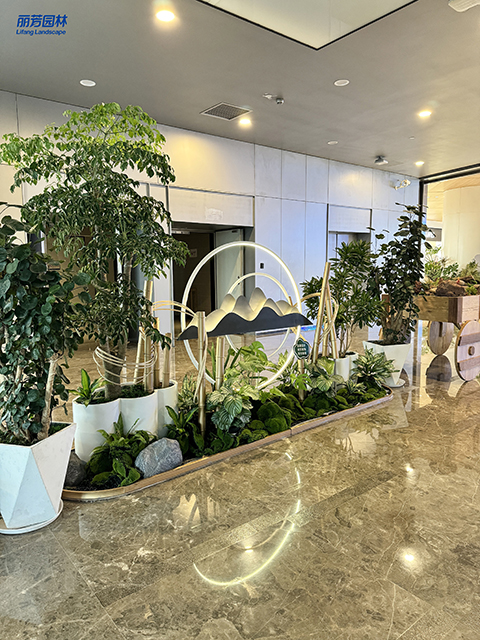 ��ҳ- ABGŷ�����Ź�����¼���