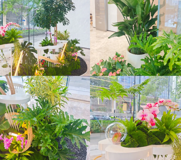 ��ҳ- ABGŷ�����Ź�����¼���